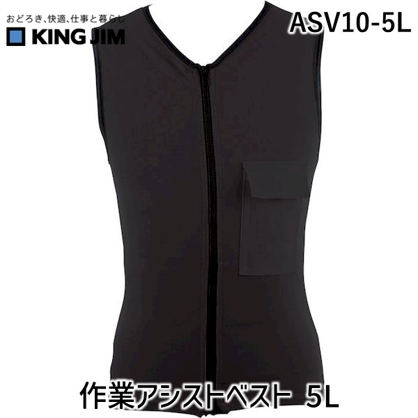 王者体育館 Kimg Jim Asv10 5l 操作付きそう最善 5l Asv105l Cjprimarycares Com