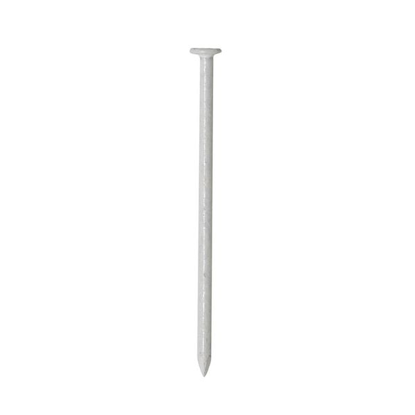 トーエイライト TOEI LIGHT 4518891260114 ラインテープ釘S 4300本 G1597 学校機器設備用品 TOEILIGHT ラインテープクギS