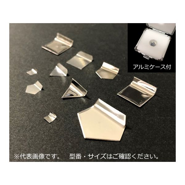 (LINEクーポン有)アズワン 3-1586-12 分銅 E－2級100mg【1個】 3158612