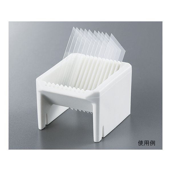 【特集】雨季打つ手グッズ