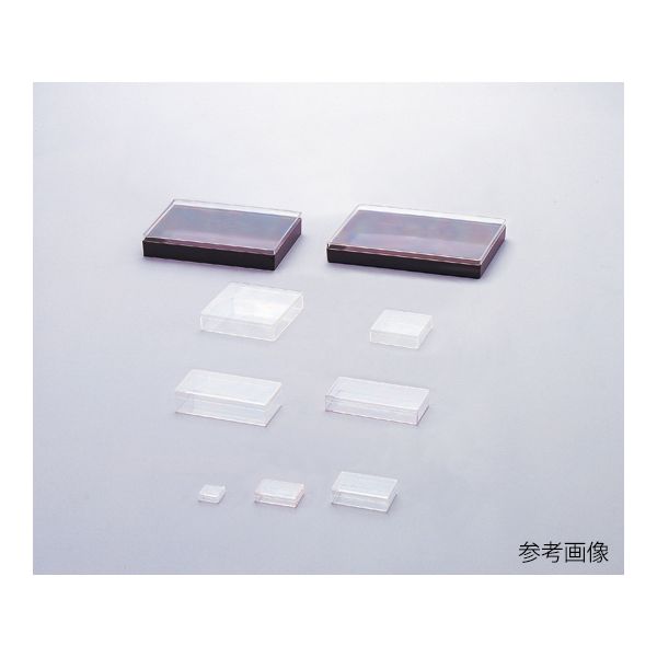【特集】雨季打つ手グッズ