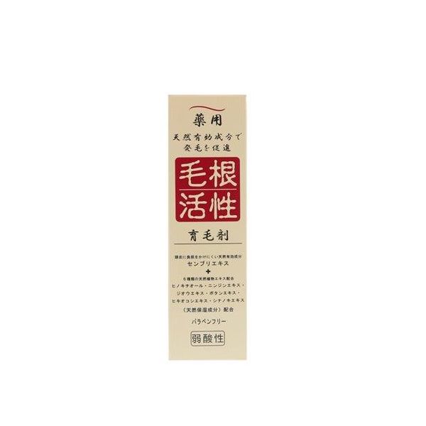 【特集】雨季打つ手グッズ