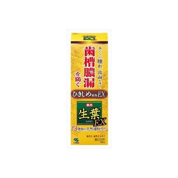 (LINEクーポン有)4987072038826 【48個入】 生葉EX100G 93295【キャンセル不可】 43,457円