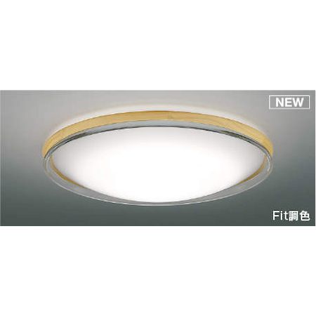 【特集】雨季打つ手グッズ インテリア・寝具・収納-天井照明