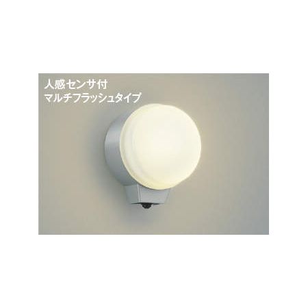 【特集】雨季打つ手グッズ