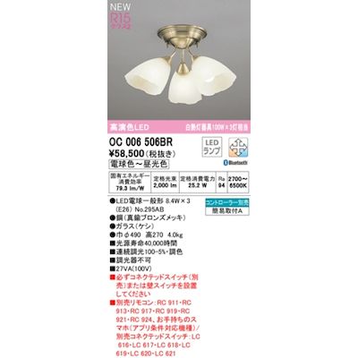 (LINEクーポン有)オーデリック ODELIC OC006506BR ランプ別梱包