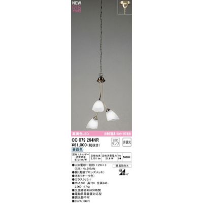 (LINEクーポン有)オーデリック ODELIC OC079264NR ランプ別梱包