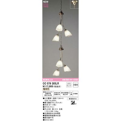 (LINEクーポン有)オーデリック ODELIC OC079265LR ランプ別梱包