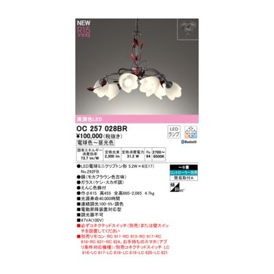 (LINEクーポン有)オーデリック ODELIC OC257028BR ランプ別梱包