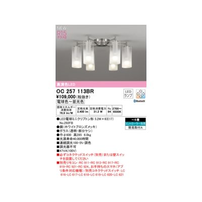 (LINEクーポン有)オーデリック ODELIC OC257113BR ランプ別梱包