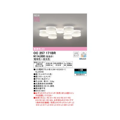(LINEクーポン有)オーデリック ODELIC OC257171BR ランプ別梱包