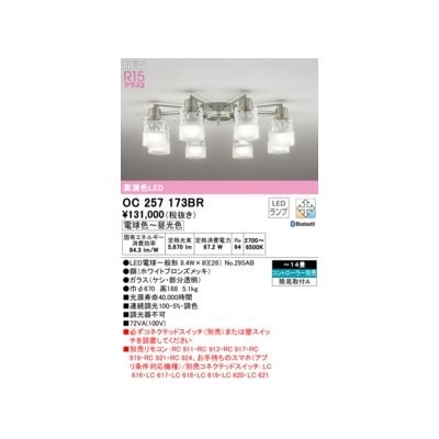 (LINEクーポン有)オーデリック ODELIC OC257173BR ランプ別梱包