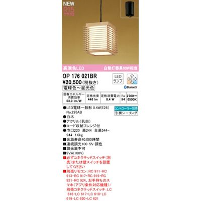 (LINEクーポン有)オーデリック ODELIC OP176021BR ランプ別梱包