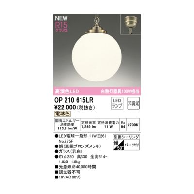 (LINEクーポン有)オーデリック ODELIC OP210615LR ランプ別梱包