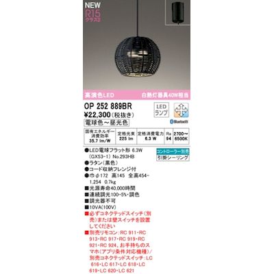 (LINEクーポン有)オーデリック ODELIC OP252889BR ランプ別梱包