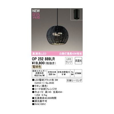 (LINEクーポン有)オーデリック ODELIC OP252889LR ランプ別梱包