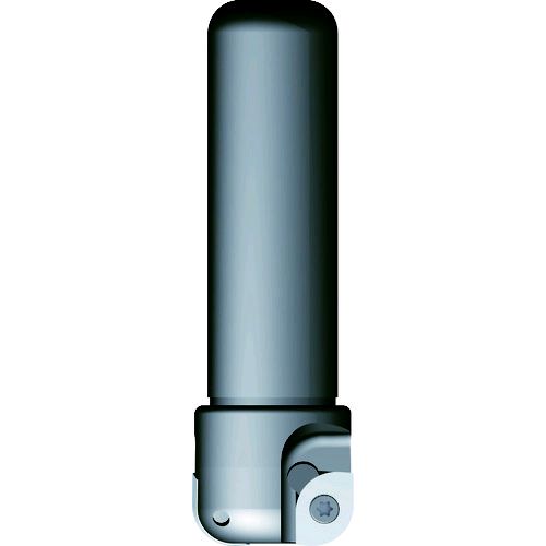 【即納在庫品】「直送」富士元工業 DC32-40ALR フライス工具 デカスミ ８Ｒ～１０ＲDC3240ALR FUJIGEN｜測定器・工具のイーデンキ