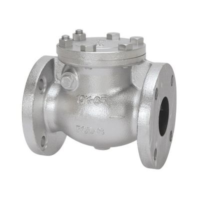 【即納在庫品】【個人宅配送不可】東洋バルヴ 10-DNSF-N 65A 直送 代引不可・他メーカー同梱不可 ダクタイル チャッキ 10−DNSF−N 10DNSFN65A|測定器・工具のイーデンキ