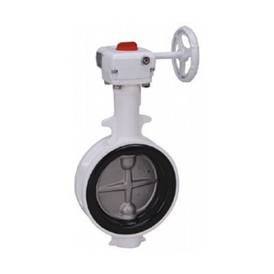 【即納在庫品】【個人宅配送不可】東洋バルヴ 10L2-N-U-CN 80A 直送 代引不可・他メーカー同梱不可 バタフライ ナイロン 10L2－N－U－CN 10L2NUCN80A