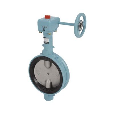 【即納在庫品】【個人宅配送不可】東洋バルヴ 16L2-N-UE 100A 直送 代引不可・他メーカー同梱不可 バタフライ ダクタイル 16L2−N−UE 16L2NUE100A|測定器・工具のイーデンキ