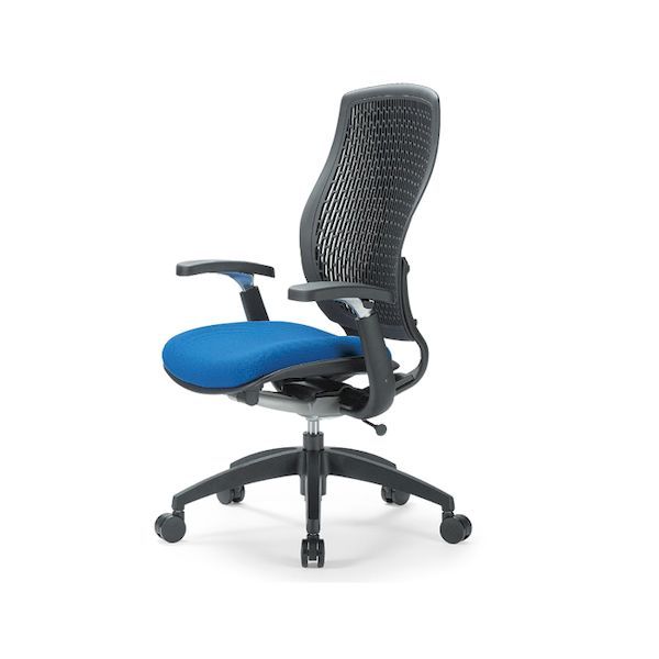 (LINEクーポン有)【個人宅配送不可】アイコ AICO MA-1535AJ(FG3)BU-BK 直送 代引不可・他メーカー同梱不可 オフィスチェア MA&minus;1500シリーズ ハイバック 可動肘タイプ 背：メッシュ／BK、座：ウレタン／BU MA1535A｜測定器・工具のイーデンキ 33,467円