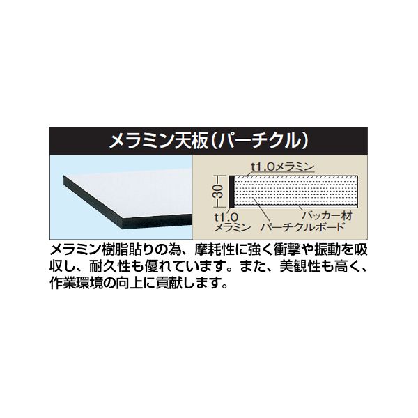 T-ポイント5倍】 法人様限定 サカエ サカエの実験台 実験用中量作業台