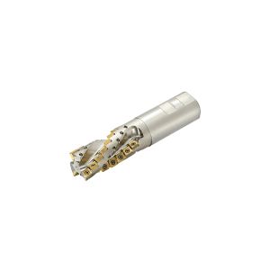 新着商品目録ペイジ