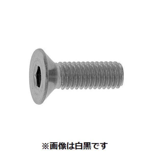 【特集】雨季打つ手グッズ