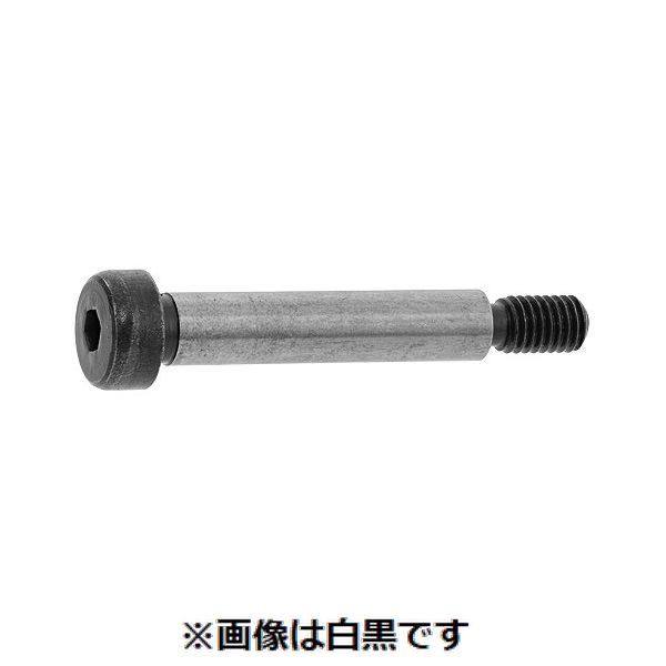 新着商品目録ペイジ