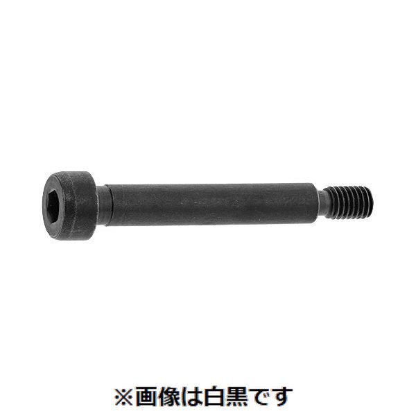 新着商品目録ペイジ