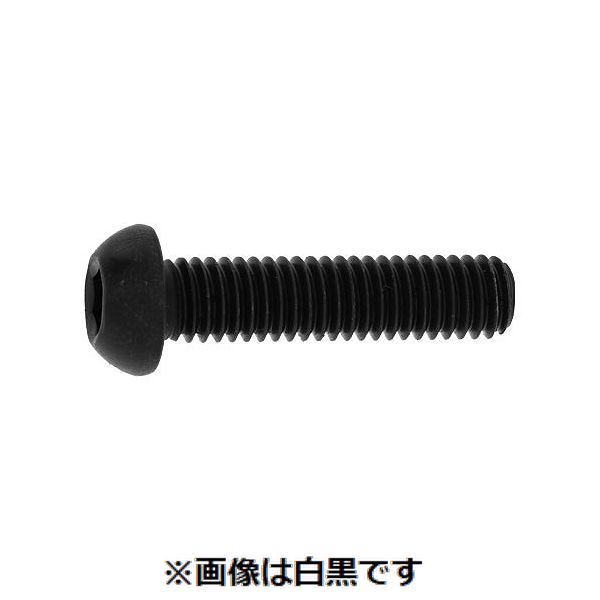 新着商品目録ペイジ