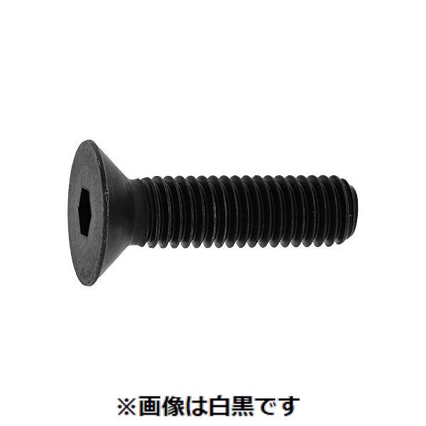 (LINEクーポン有)【個人宅配送不可】【個数：1000個】ＳＵＮＣＯ 4525824224426 【1000個入】 直送 代引不可・他メーカー同梱不可 サラCAP GOSHO 全ネジ 4 X 10