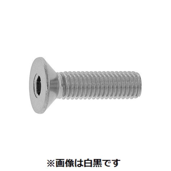 (LINEクーポン有)【個人宅配送不可】【個数:100個】SUNCO 4525824275695 【100個入】 直送 代引不可・他メーカー同梱不可 SUSサラCAP HSK光精工 全ネジ 12 X 35|測定器・工具のイーデンキ