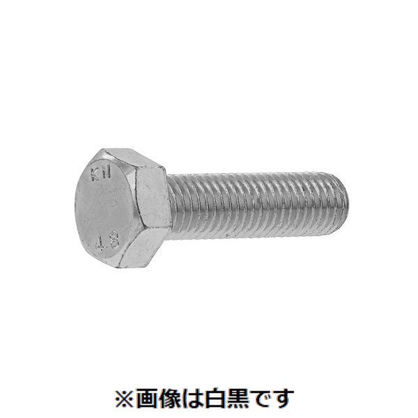 新着商品目録ペイジ