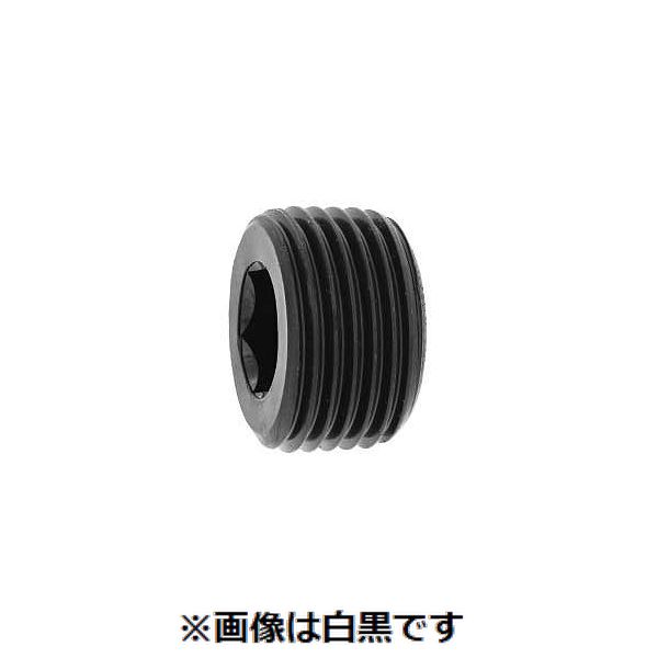 (LINEクーポン有)【個人宅配送不可】【個数:300個】SUNCO 4525824340591 【300個入】 直送 代引不可・他メーカー同梱不可 プラグ 沈み TKS PT 3/8|測定器・工具のイーデンキ