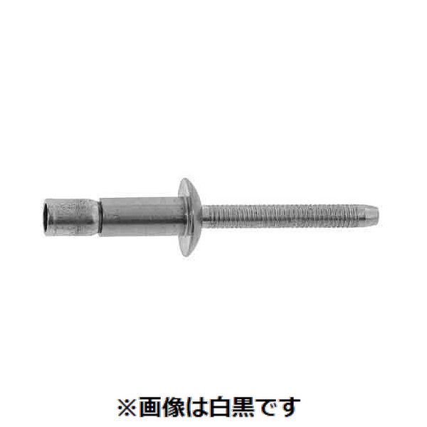 【特集】雨季打つ手グッズ