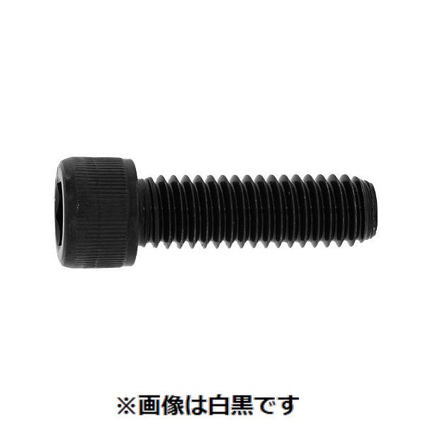 (LINEクーポン有)【個人宅配送不可】【個数：100個】ＳＵＮＣＯ 4525824497868 【100個入】 直送 代引不可・他メーカー同梱不可 ステンCAP UNC ＃4－40X1”1／8