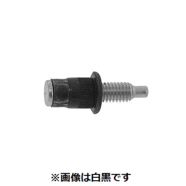新着商品目録ペイジ