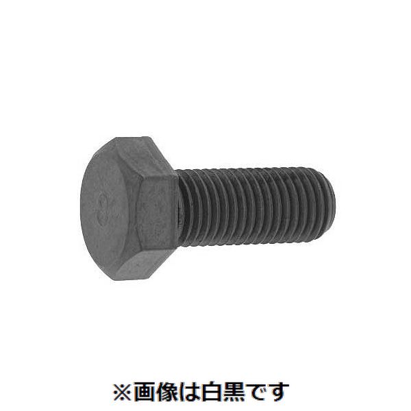 【特集】雨季打つ手グッズ