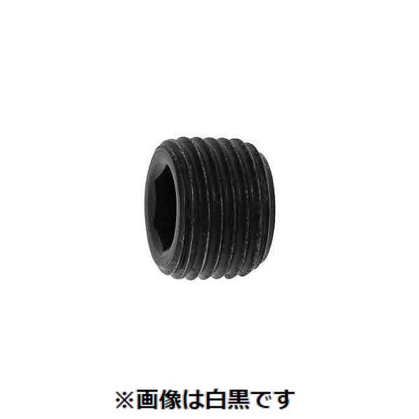 新着商品目録ペイジ