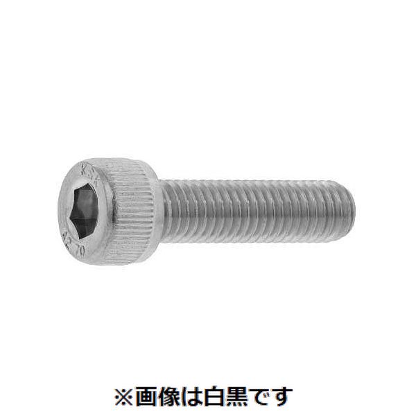 (LINEクーポン有)【個人宅配送不可】【個数：100個】ＳＵＮＣＯ 4547733115053 【100個入】 直送 代引不可・他メーカー同梱不可 ステンCAP 岸和田ステンレス 10 X 22