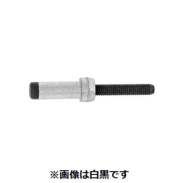 【特集】雨季打つ手グッズ