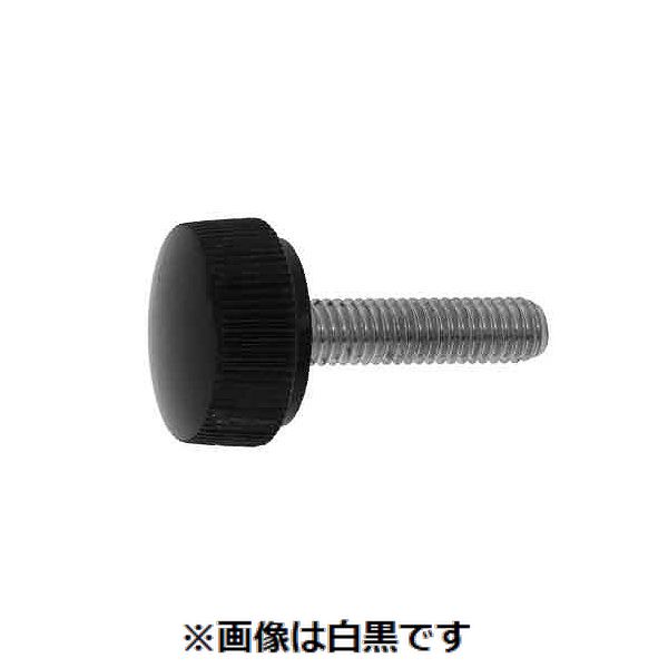 新着商品目録ペイジ