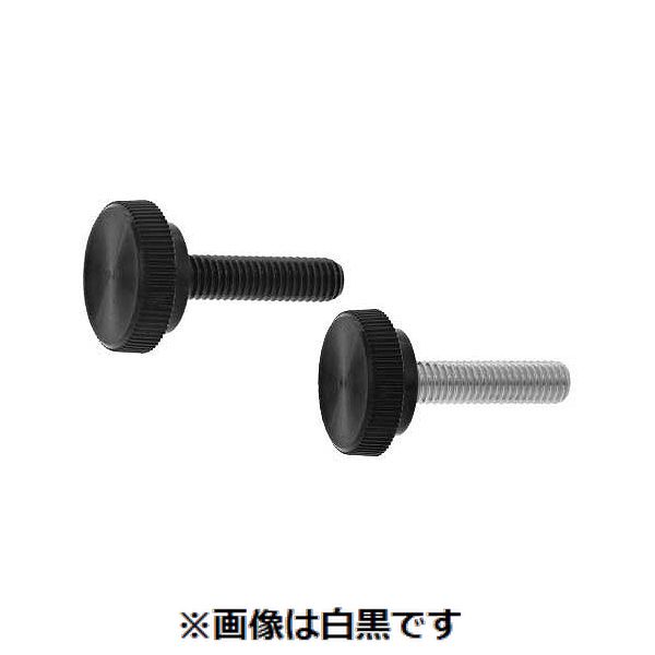 (LINEクーポン有)【個人宅配送不可】【個数：100個】ＳＵＮＣＯ 4547809325065 【100個入】 直送 代引不可・他メーカー同梱不可 三価ホワイト サムスクリュ－ 全ネジ 丸型 黒19 6 X 25