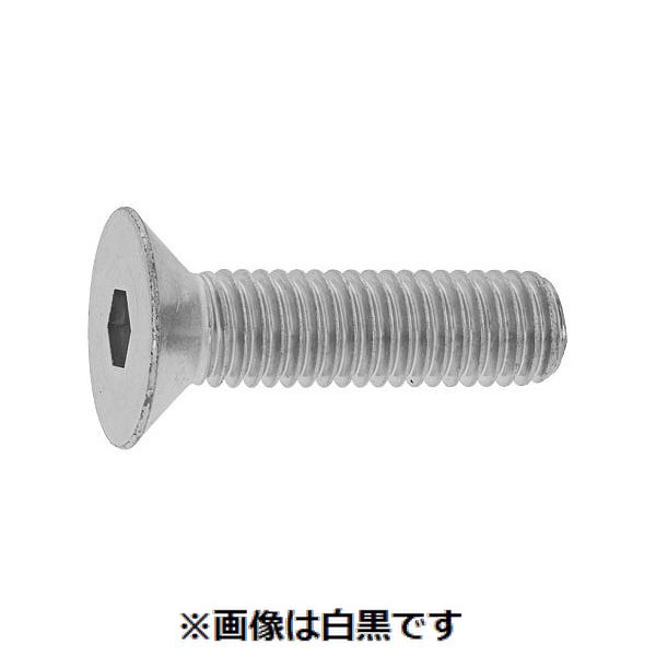 (LINEクーポン有)【個人宅配送不可】【個数：1000個】ＳＵＮＣＯ 4547809510928 【1000個入】 直送 代引不可・他メーカー同梱不可 三価ブラック サラCAP アンスコ 全ネジ 5 X 8