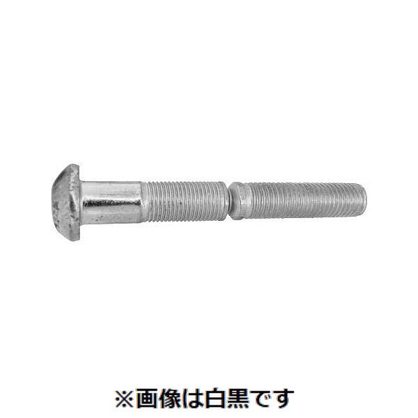 【特集】雨季打つ手グッズ