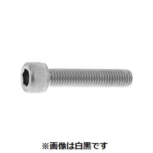 新着商品目録ペイジ