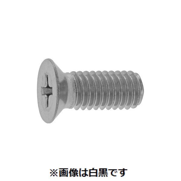 (LINEクーポン有)【個人宅配送不可】【個数：500個】ＳＵＮＣＯ 4547809734300 【500個入】 直送 代引不可・他メーカー同梱不可 ステン＃2 ＋ サラ小 D10 小頭 6 X 12