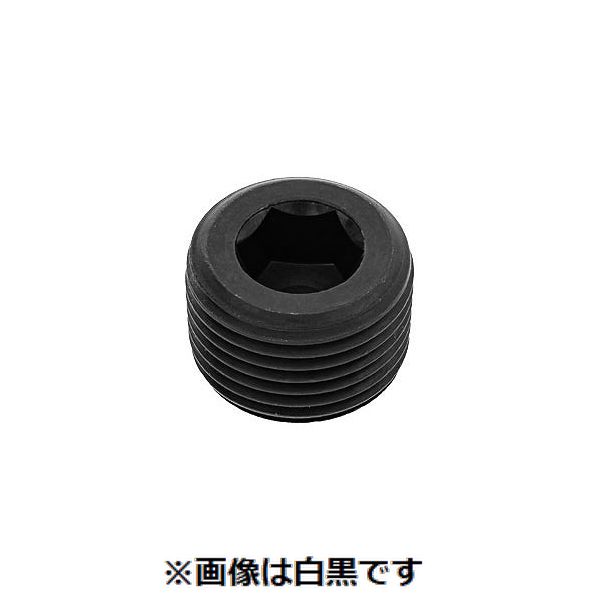 (LINEクーポン有)【個人宅配送不可】【個数：100個】ＳＵＮＣＯ 4547809833263 【100個入】 直送 代引不可・他メーカー同梱不可 プラグ 浮き 日星 PP3 1／2