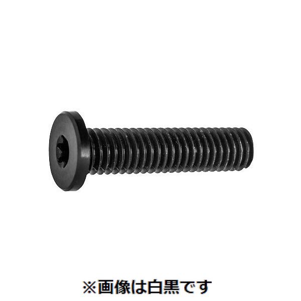 (LINEクーポン有)【個人宅配送不可】【個数:500個】SUNCO 4547809849653 【500個入】 直送 代引不可・他メーカー同梱不可 レニー 黒 TRX極低頭CAP 6 X 12|測定器・工具のイーデンキ